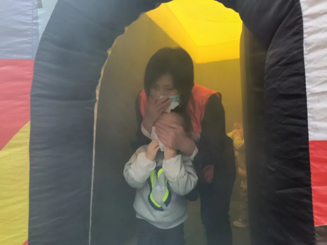 171336o6lu9pu79a7lii0u.jpeg