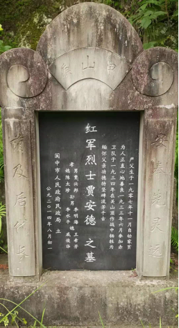 171638a7m72a26tvqtlqye.png