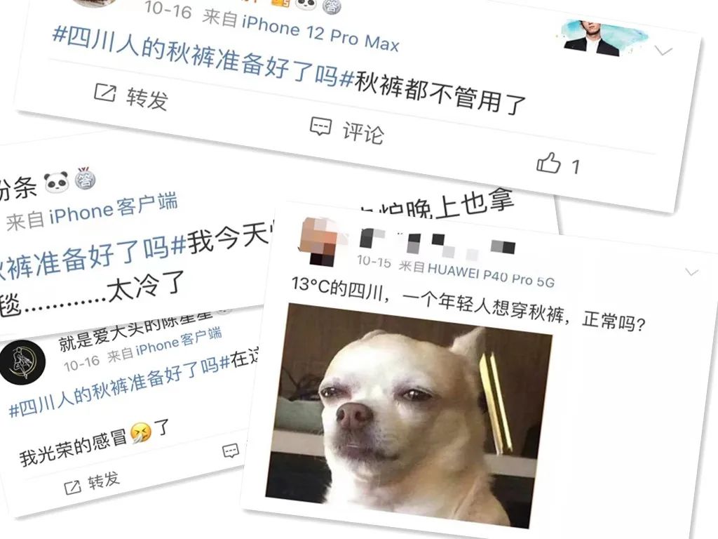 170955nbqpmqf6j785vj18.jpeg