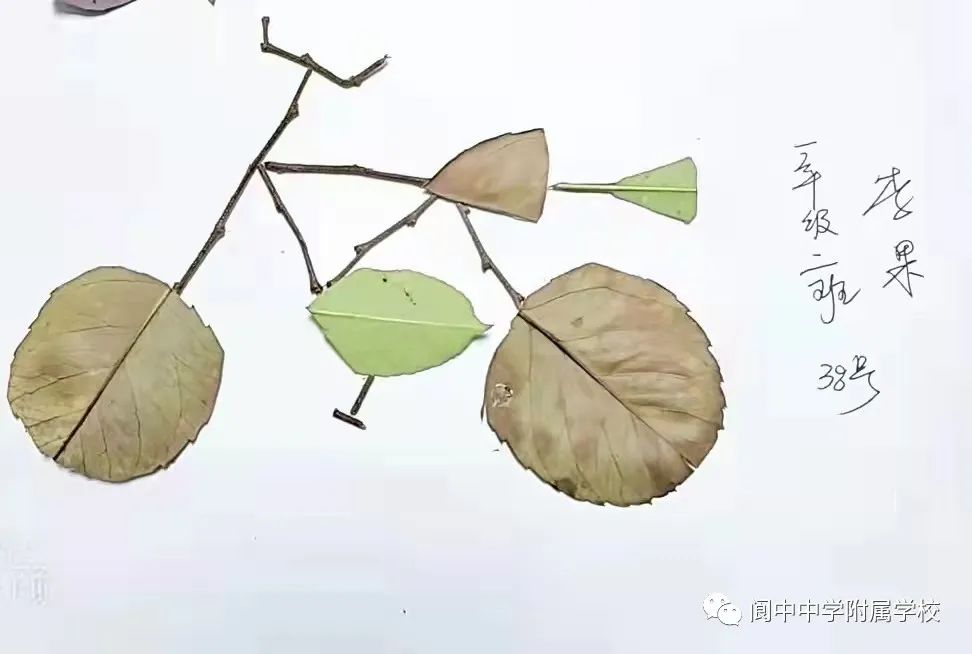 140649neqa1f2eajlmm2mm.jpeg