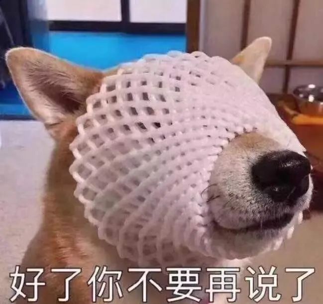 155712xri9qqd2r7qjdr87.jpeg