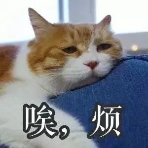 144352kxruftrrq0mrkfq0.jpeg