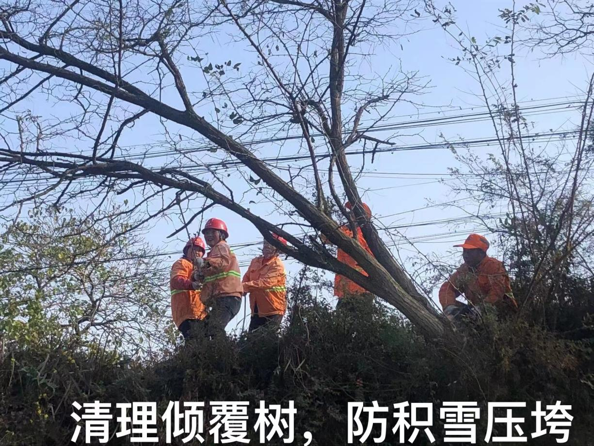 图片3.png