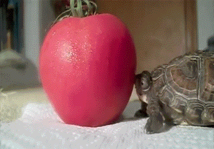 172345xy31tqfp8z83zrqf.gif
