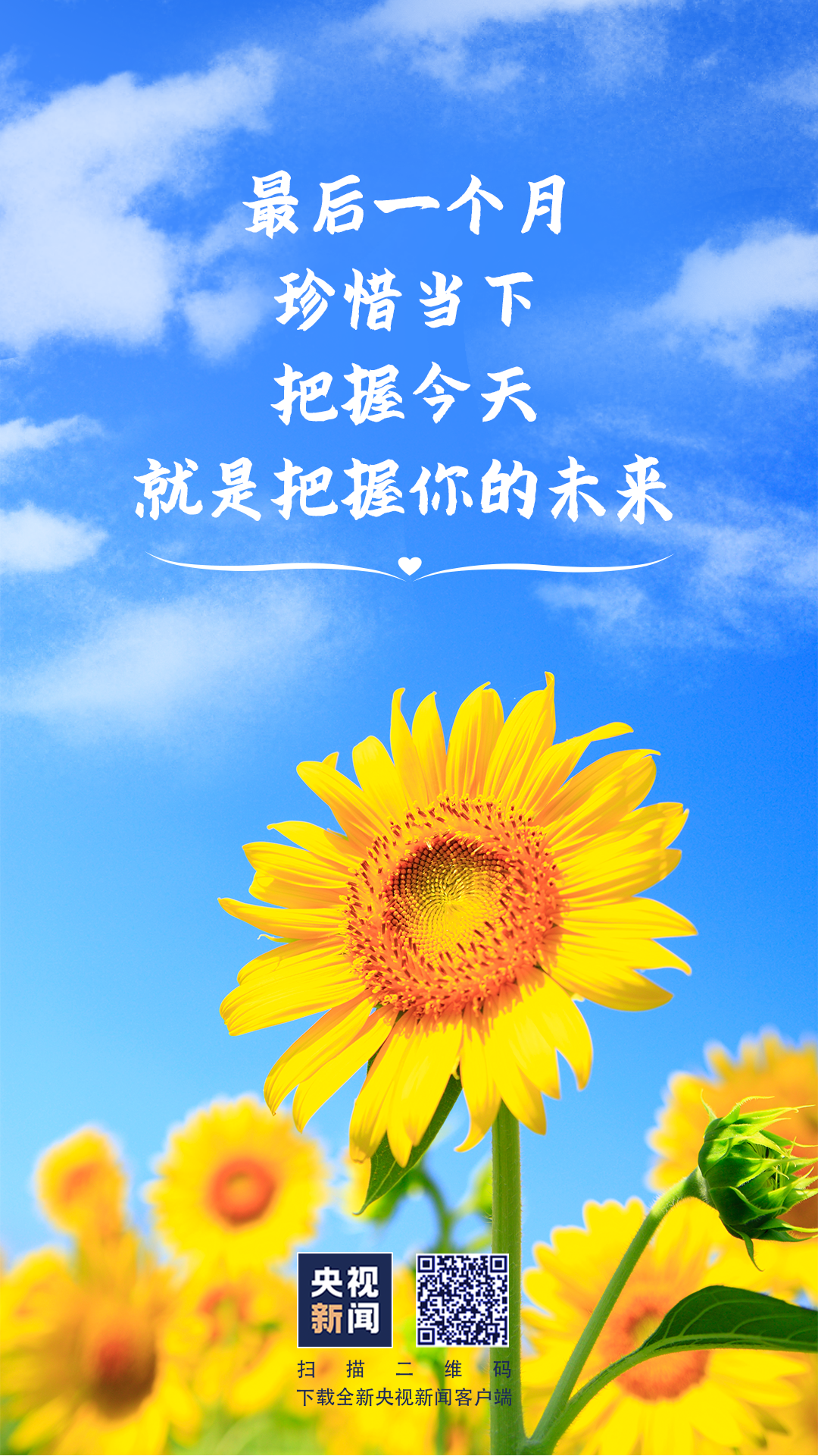 084353e5hxdj1lerrx3rdr.png