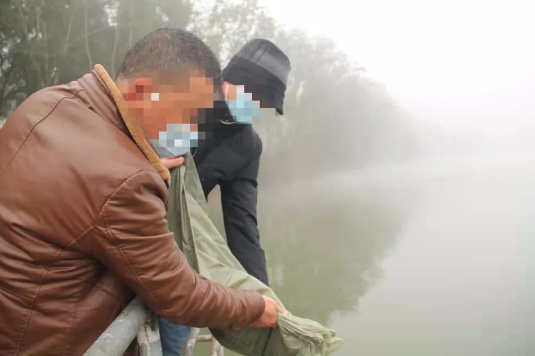 172504b6559w97ecjx49c6.jpeg
