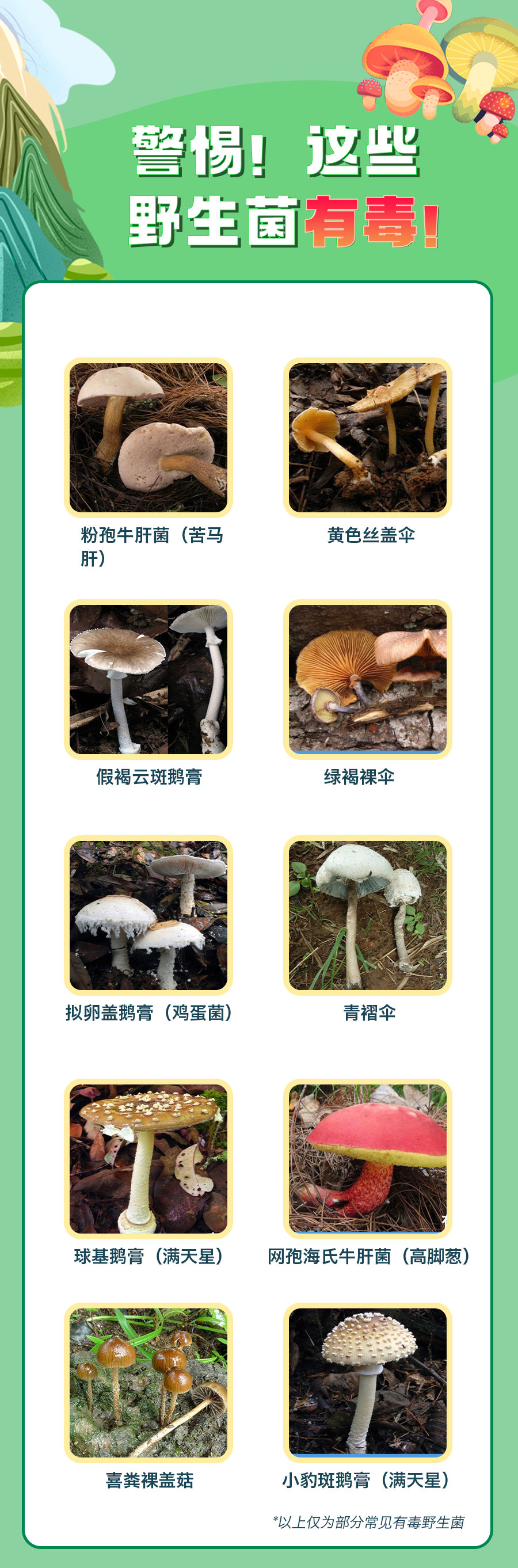 151453s5hytmp8omhy90mv.png
