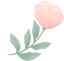 175929nccyywedlkqxrwze.png