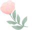 175929zi75wsvfvssk52rd.png