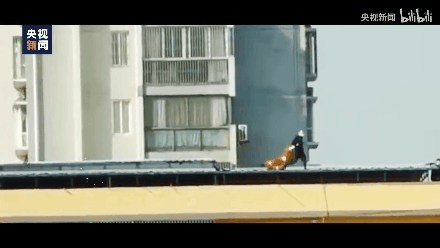 151304p0sfh86z0sz0yxxy.gif