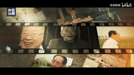 151316ccgnz6243n774a6a.gif