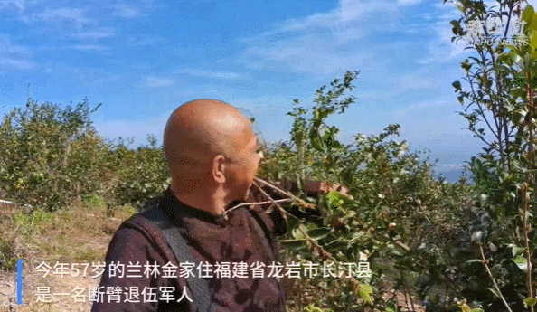 082940km3pmv19l2c0ctd9.gif