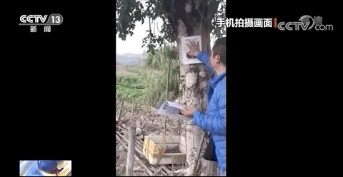115715n2p6bzkf9ige5x50.gif