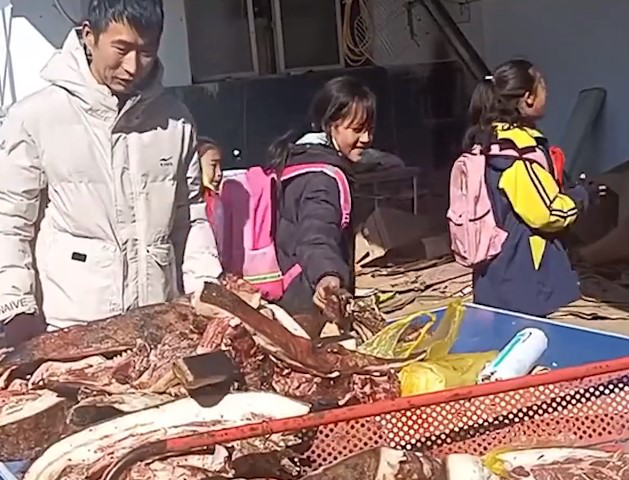 083813ayycvvrcn33moypo.png