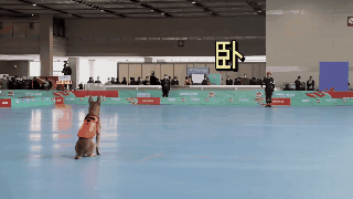 085311arsnxs5s5py49un6.gif