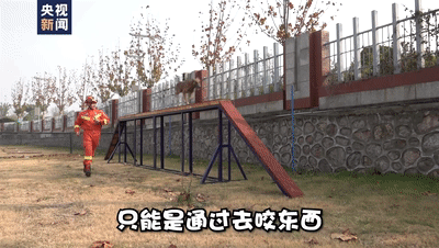085312qbxt1xhqt84s2of8.gif