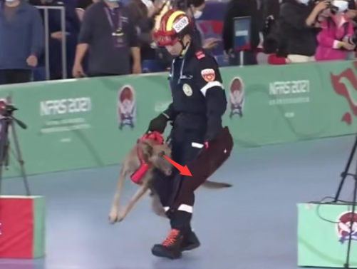 085312vei2w22hop7qghvv.png