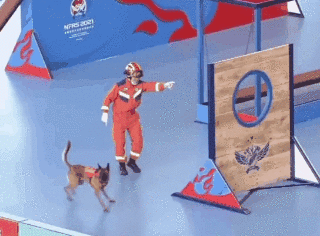 085312yg7hhjrwa820h5br.gif