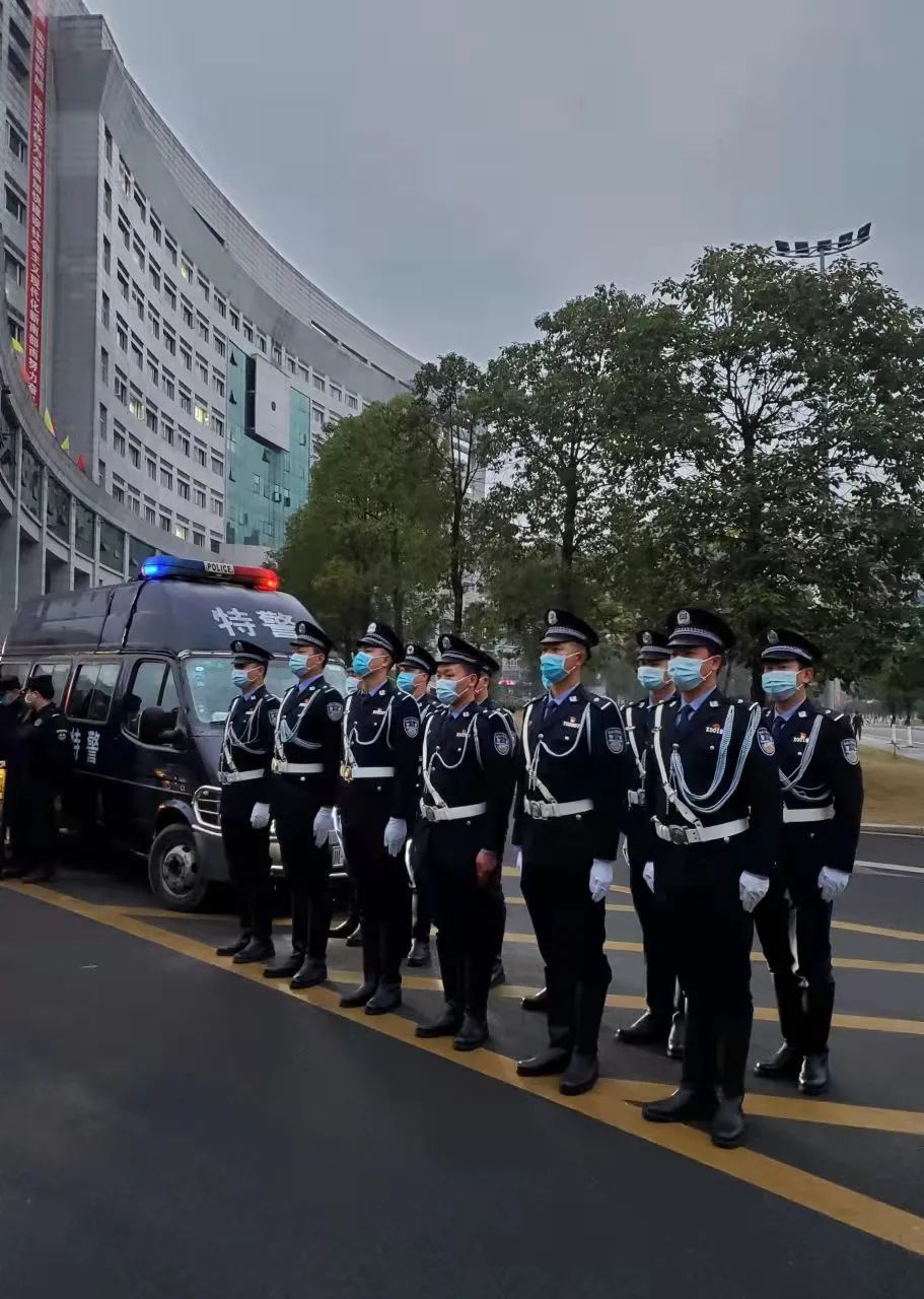 091156utdmz55dds7m5s91.jpeg