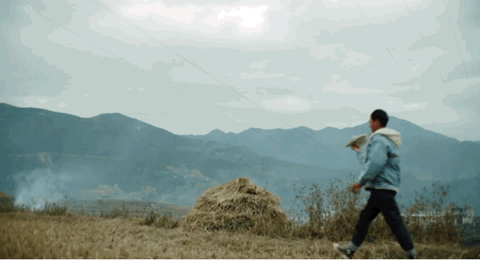 082427tdhzz7lcwd7yzwwc.gif