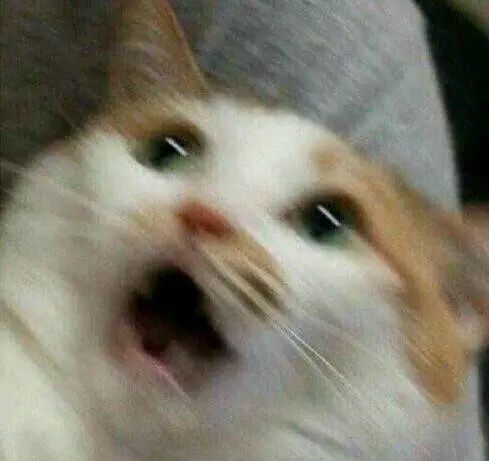 141835doekuh9uodkd4lbp.jpeg 141835doekuh9uodkd4lbp.jpeg