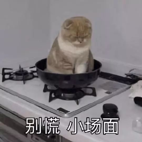 141835tv8eszv00pws0psq.jpeg 141835tv8eszv00pws0psq.jpeg