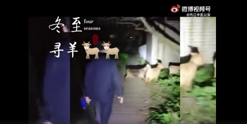 152021sf7vfyyfyf0zf477.png