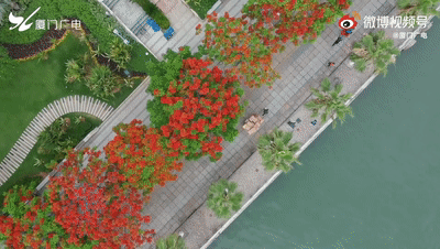 172305z0g481p8jfrj3rn8.gif