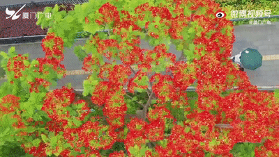 172306m3widho02s0ld2x0.gif