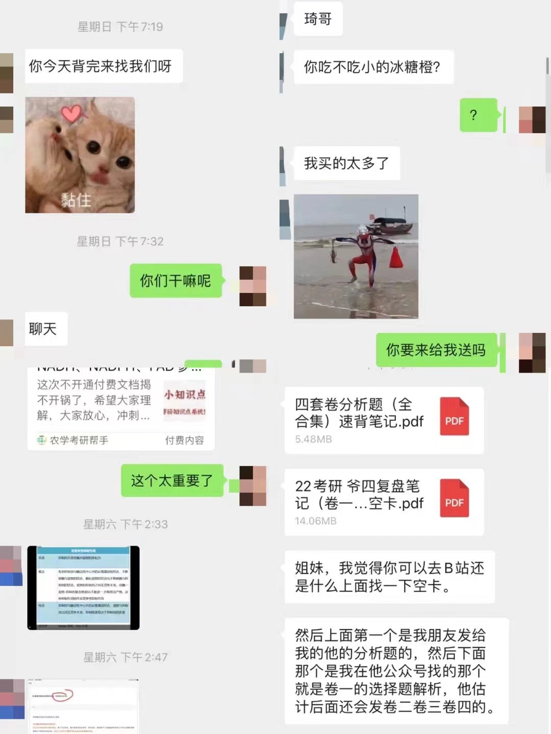 145039mvpb5zz261vi3kpm.png