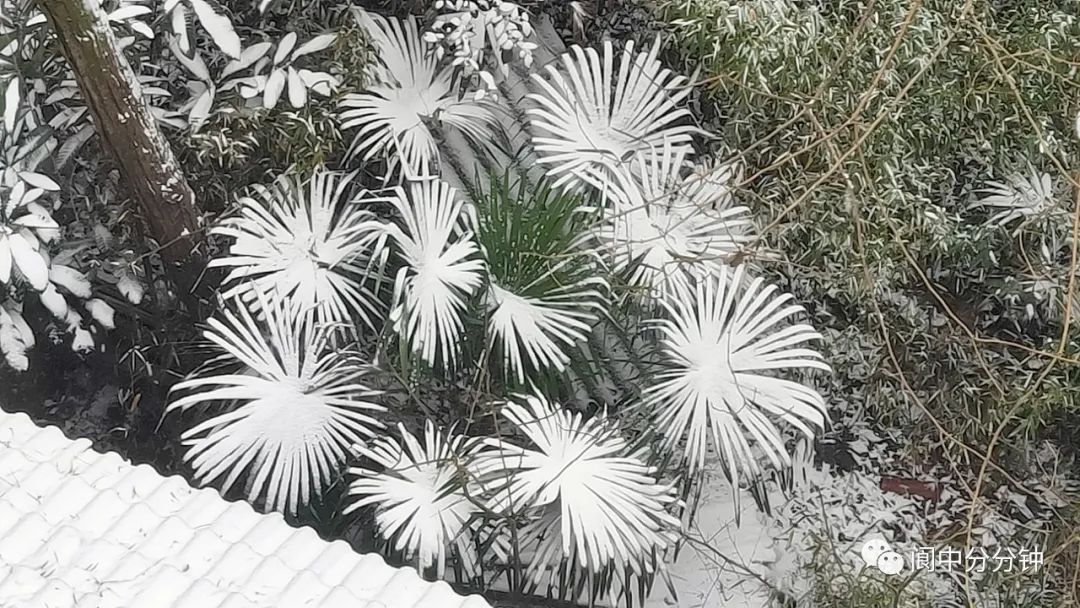 110821x3pk60gvtyh17p09.jpeg