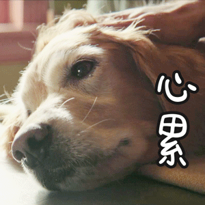 141306qzumxmipbik5z5sc.gif