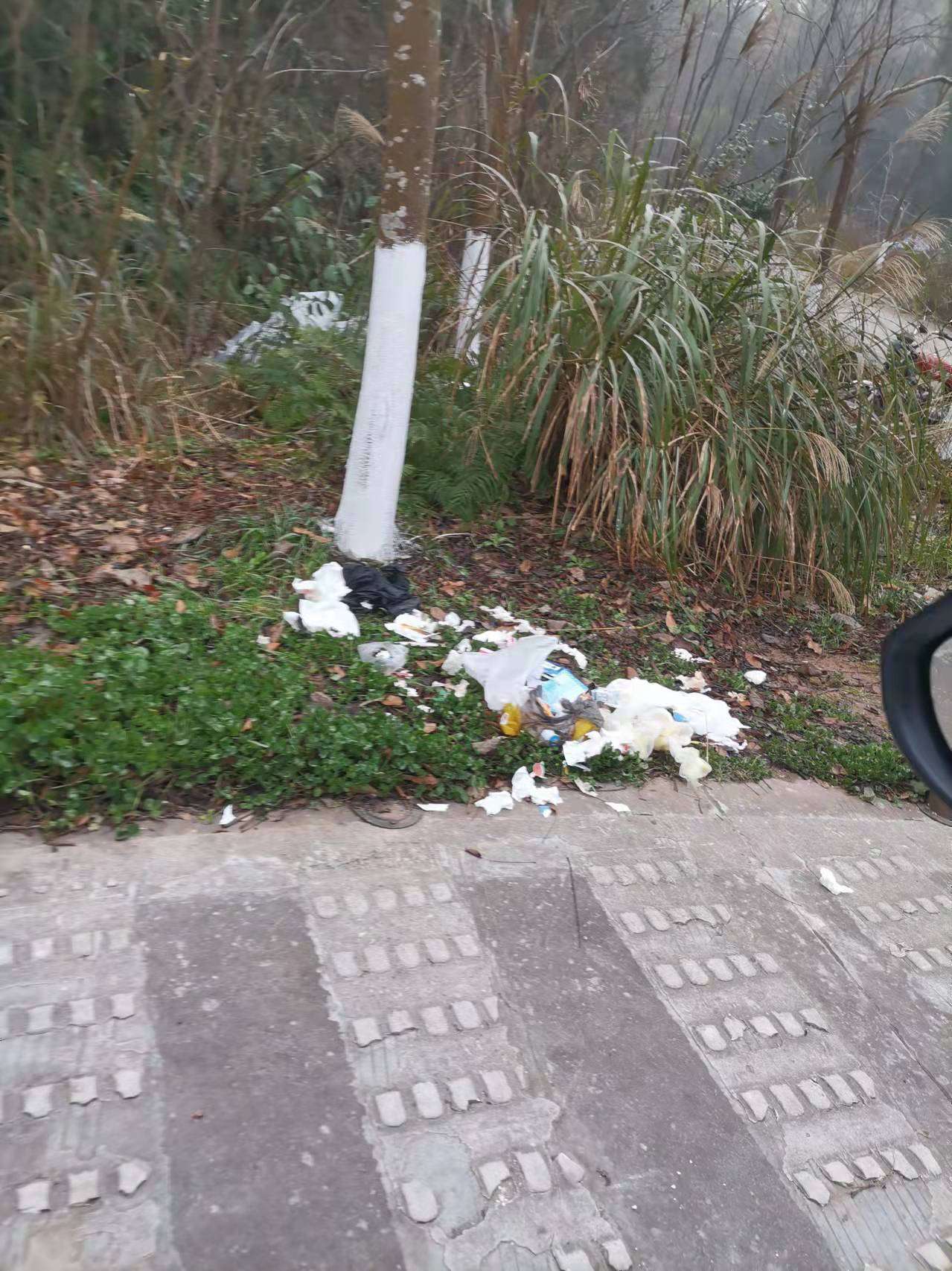 20211230203526front2_0_972_FuabQ_C2mvDdxKCodm2je-htyURY.jpg