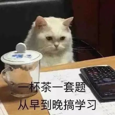 140509y2emku0gojokt1g0.jpeg