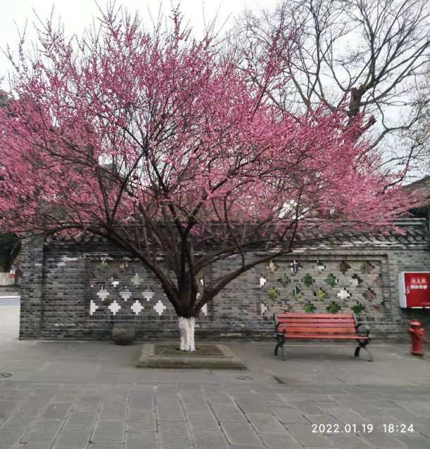 20220120112153front2_0_477_FliF_MzP9WXl4qndw5n4zsIoanNG.jpg