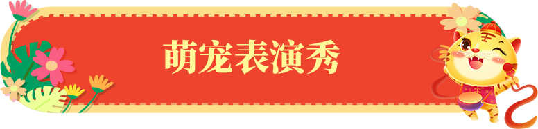 163807z79g7zv96bj1swsu.png