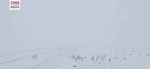 112432ok2kl6jggo63xk22.gif