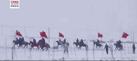 112432tbb7hbtspp6pwbbb.gif