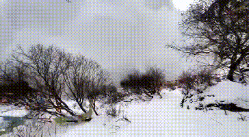 100745ifdyytui9t1fydnu.gif