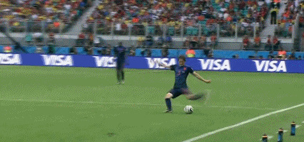 082452llhlh7hz9l9ill89.gif