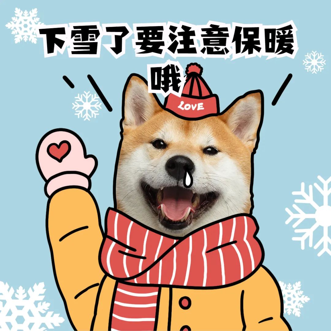 154219etcfz58coz8c1cwf.jpeg