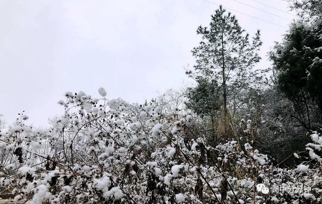 161210z2s27d2ysm8vhlyn.jpeg