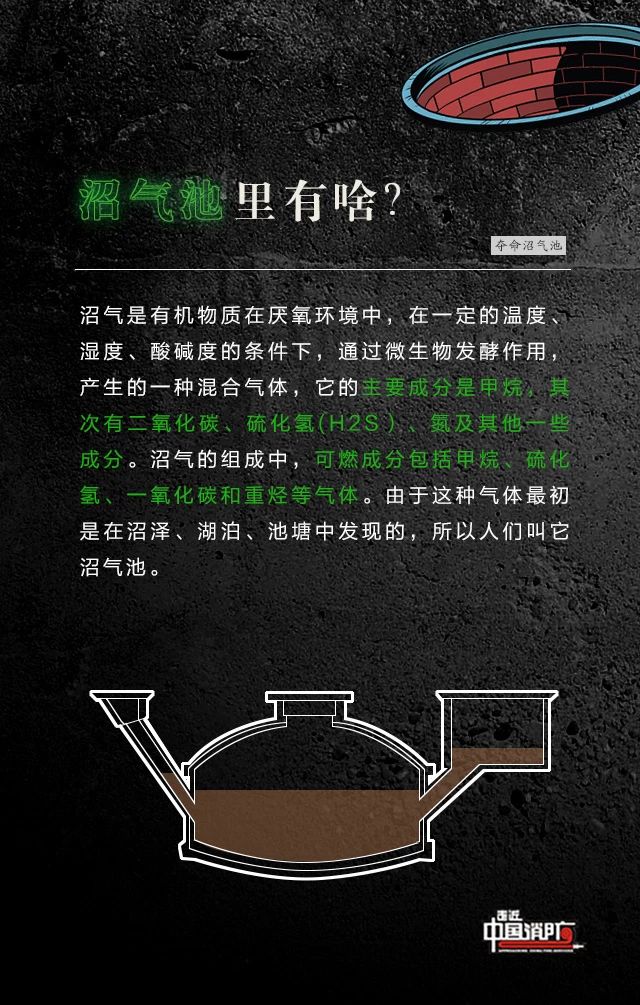 111249gag8wzq37c3cw4qs.jpeg