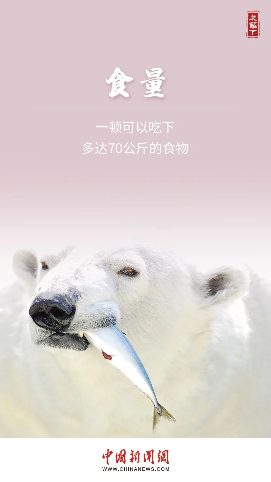 085137tclmfqcgwbw6rqwf.jpeg