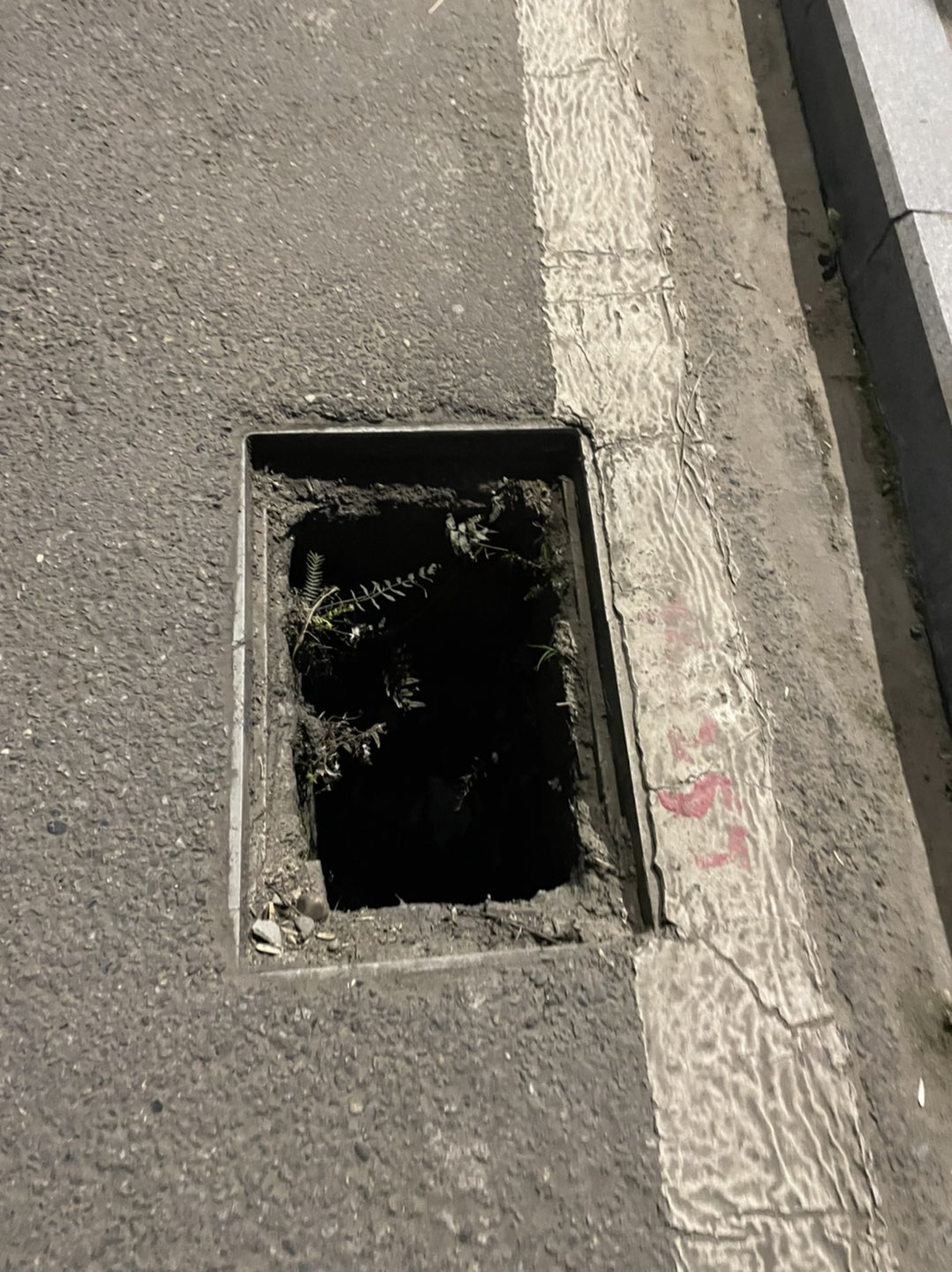 20220228084711front1_0_134_FkUsewIQj1iXuVagDvBwGi-zDYtA.jpg