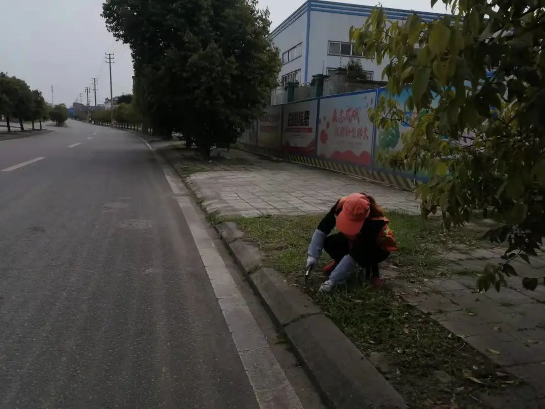 112755r2a8upwukjl8cr93.jpeg