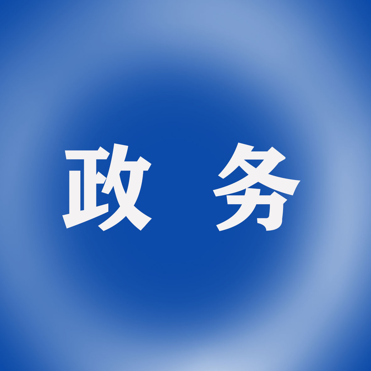 政务.jpg