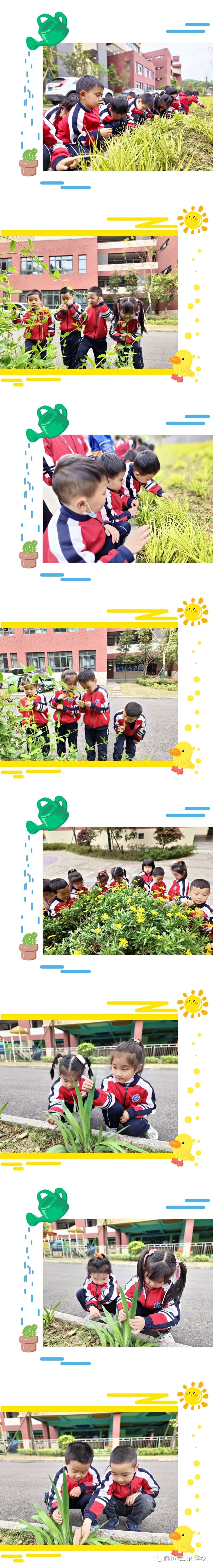 143711wg5gpcccf42p5455.jpeg