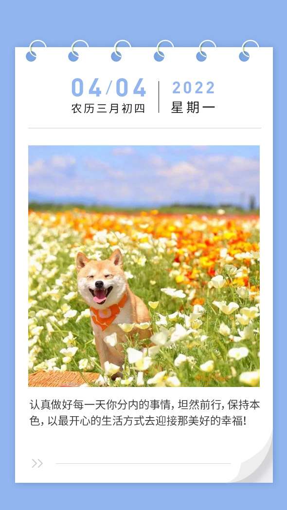 20220404080157front2_0_1041_Fp-glIFigl3PqpctJOcZkDgerTyK.png