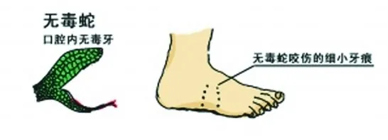 090736mol5oo5zucnvtlh3.png